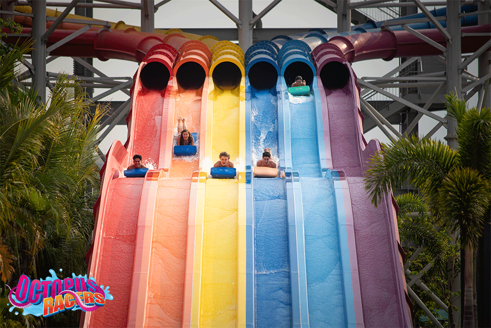 Aqua Planet OCTOPUS RACERS
